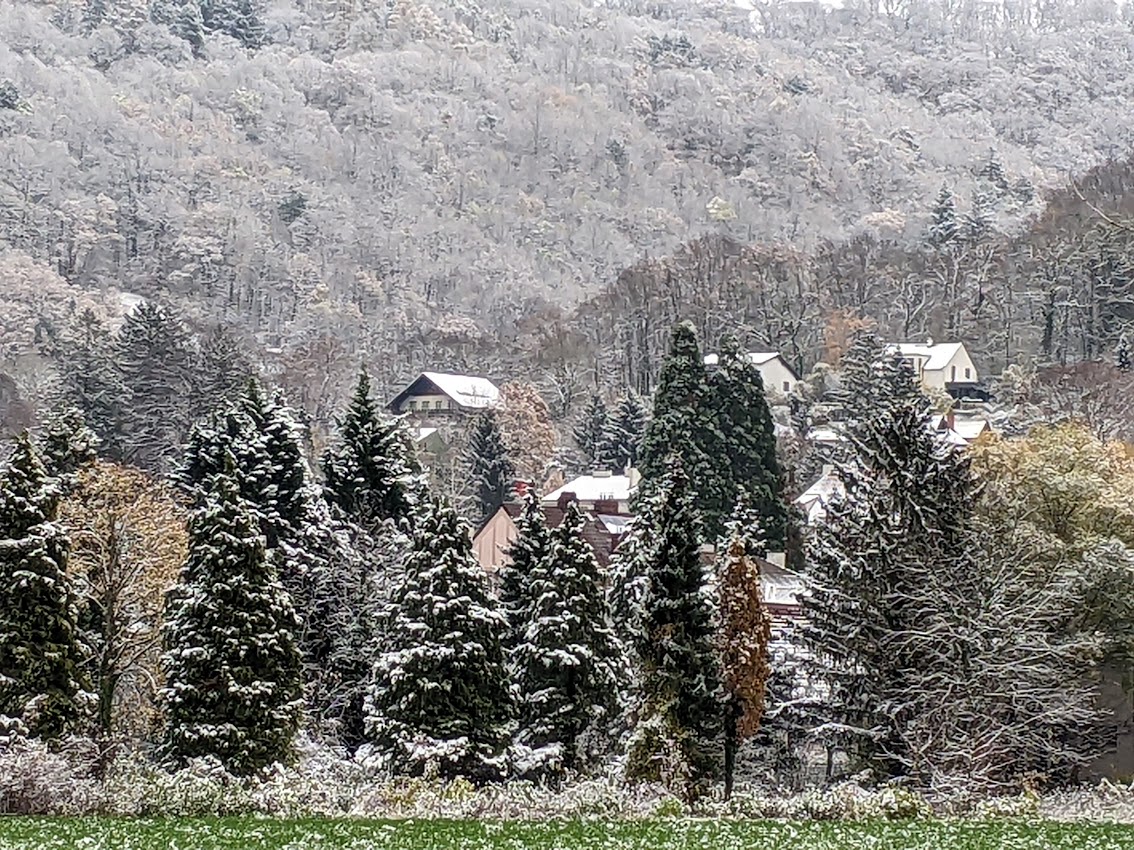 Read more about the article Let it snow